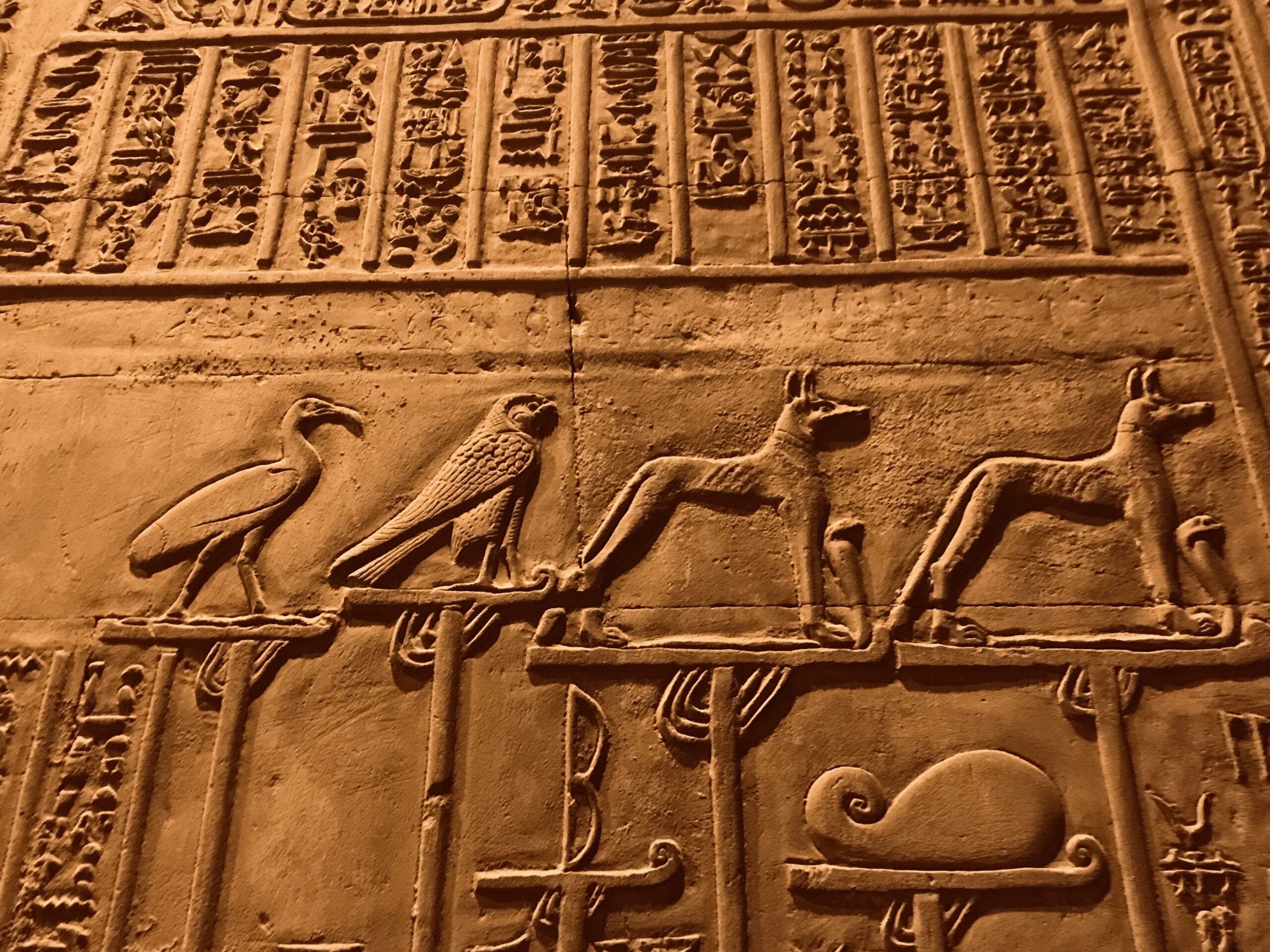 3-Nights Nile Cruise: Down River from Aswan to Luxor - Image 29